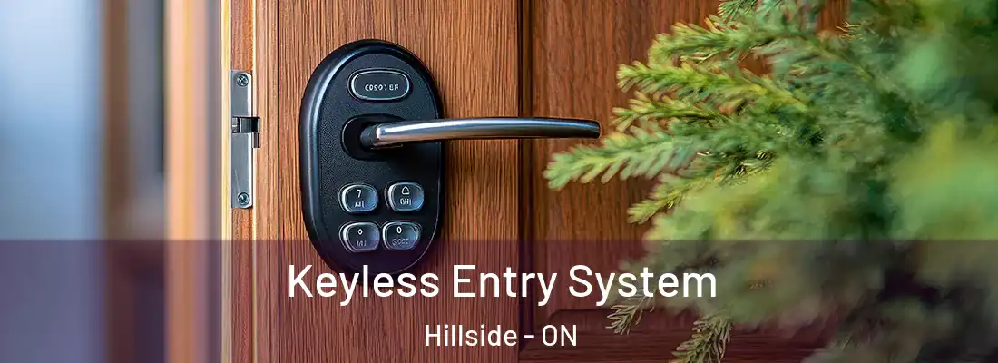  Keyless Entry System Hillside - ON