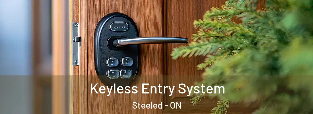  Keyless Entry System Steeled - ON