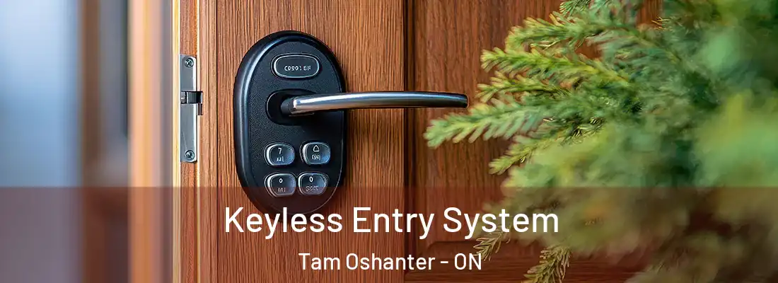  Keyless Entry System Tam Oshanter - ON