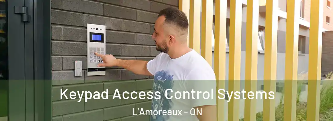  Keypad Access Control Systems L'Amoreaux - ON
