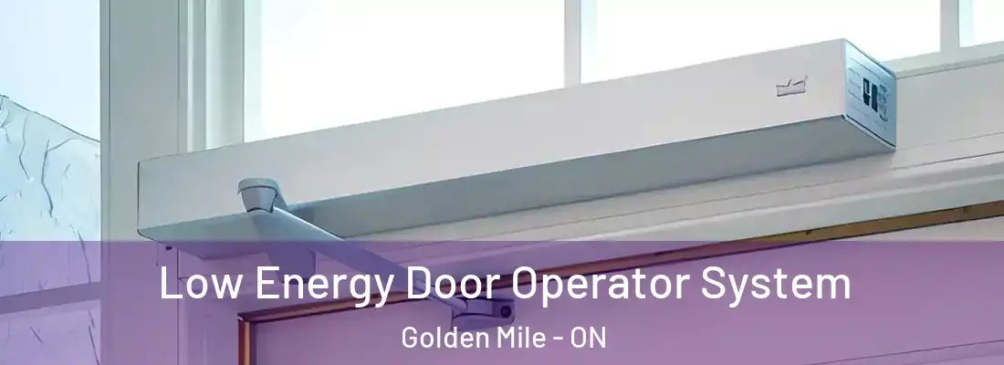  Low Energy Door Operator System Golden Mile - ON