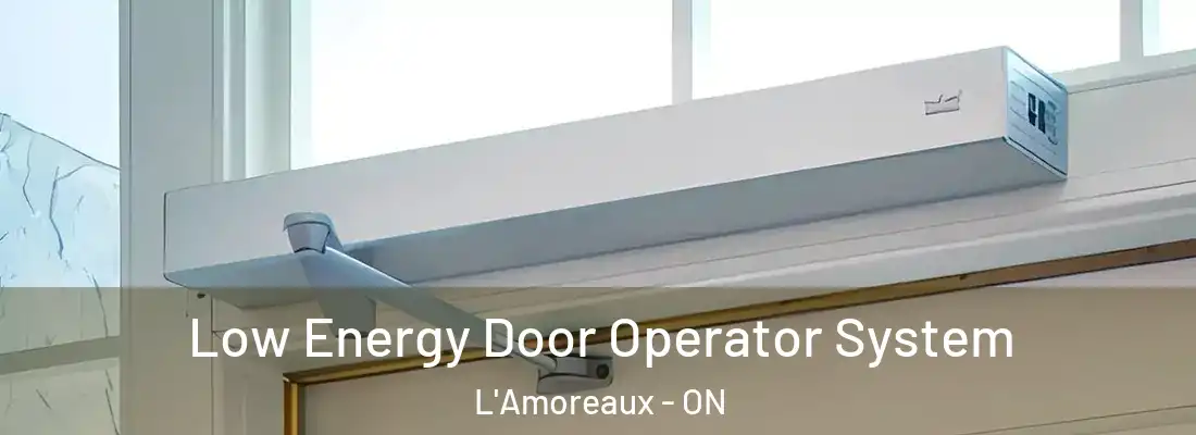  Low Energy Door Operator System L'Amoreaux - ON