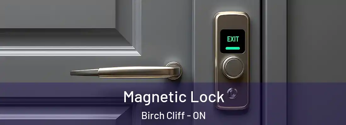  Magnetic Lock Birch Cliff - ON
