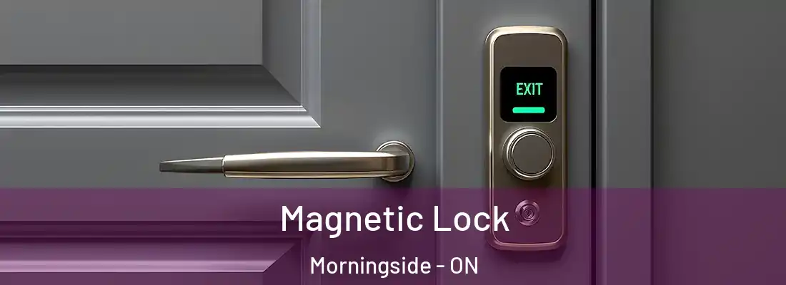  Magnetic Lock Morningside - ON