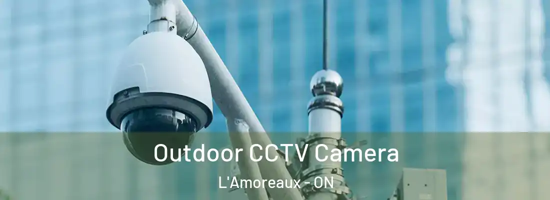  Outdoor CCTV Camera L'Amoreaux - ON