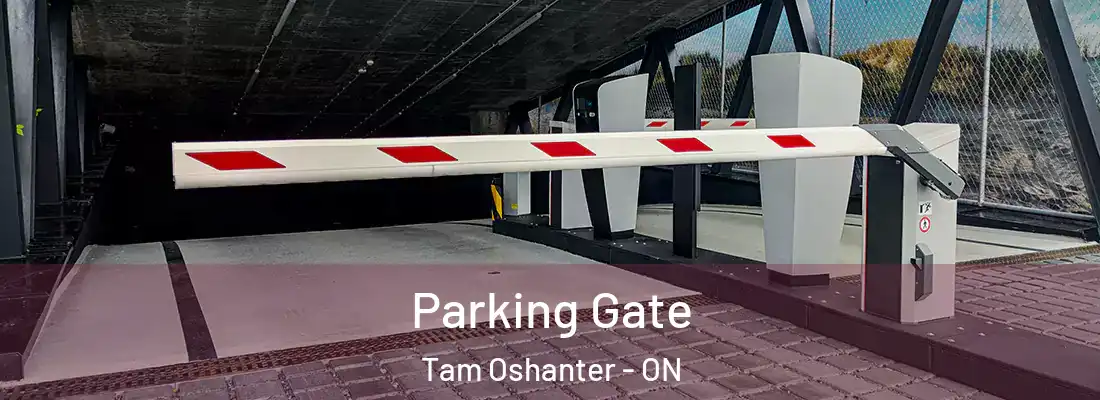  Parking Gate Tam Oshanter - ON