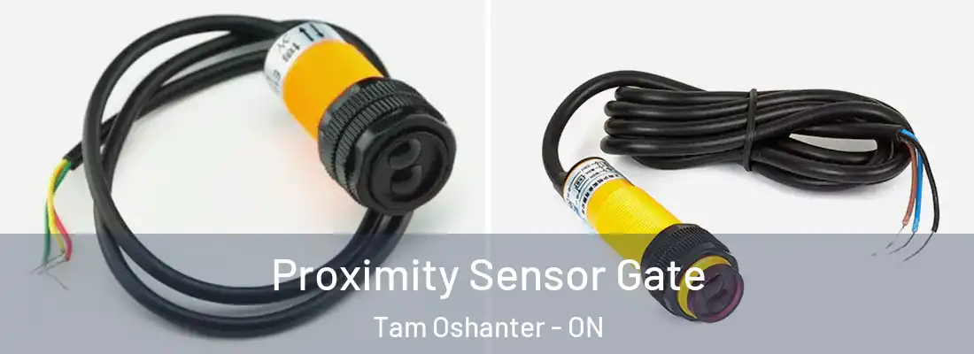  Proximity Sensor Gate Tam Oshanter - ON