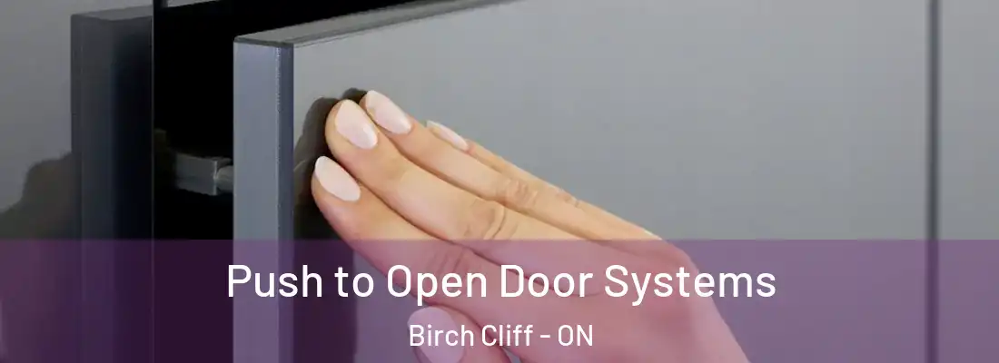  Push to Open Door Systems Birch Cliff - ON
