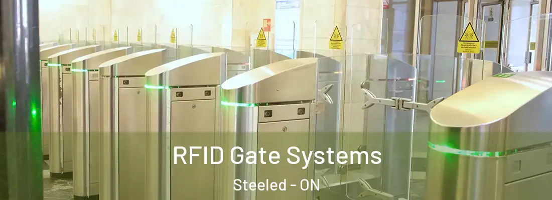 RFID Gate Systems Steeled - ON