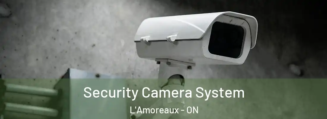  Security Camera System L'Amoreaux - ON