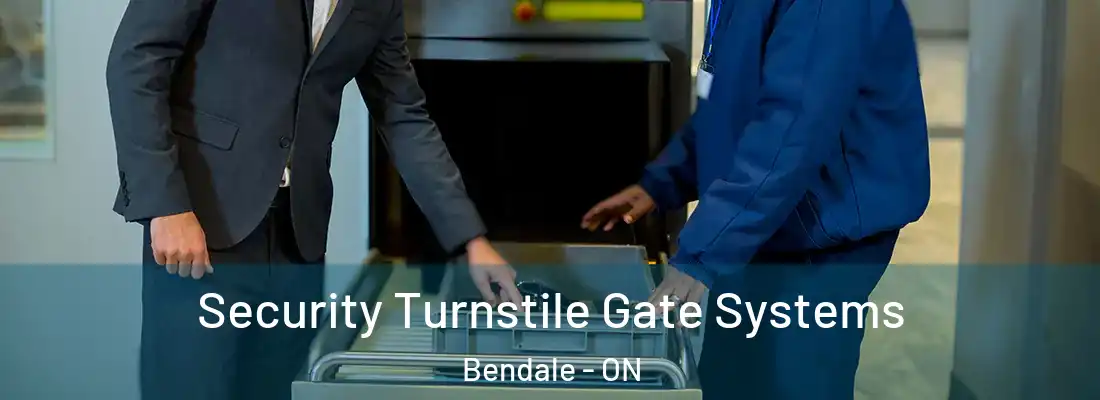  Security Turnstile Gate Systems Bendale - ON