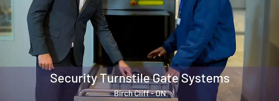  Security Turnstile Gate Systems Birch Cliff - ON