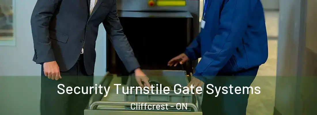  Security Turnstile Gate Systems Cliffcrest - ON