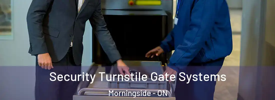  Security Turnstile Gate Systems Morningside - ON