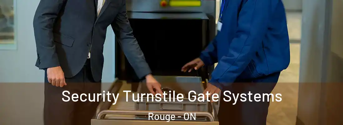  Security Turnstile Gate Systems Rouge - ON