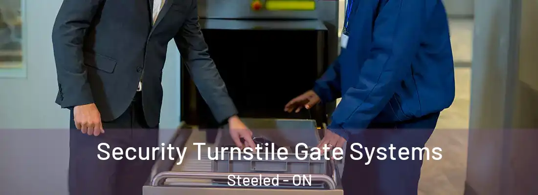  Security Turnstile Gate Systems Steeled - ON