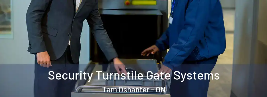  Security Turnstile Gate Systems Tam Oshanter - ON