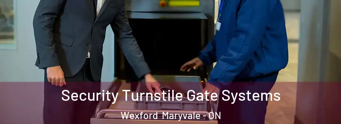  Security Turnstile Gate Systems Wexford Maryvale - ON