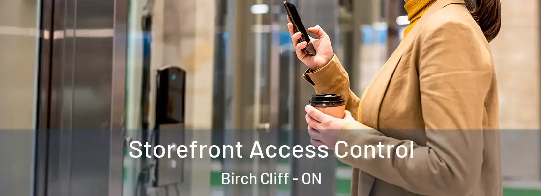  Storefront Access Control Birch Cliff - ON