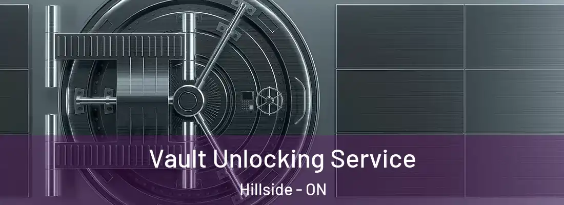  Vault Unlocking Service Hillside - ON