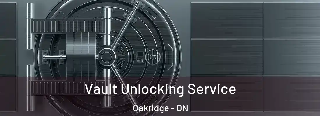  Vault Unlocking Service Oakridge - ON