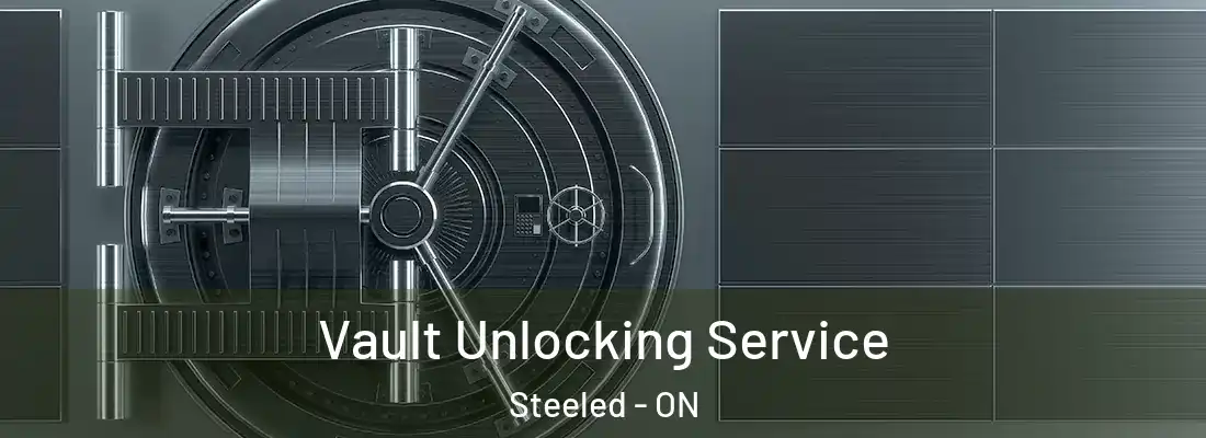  Vault Unlocking Service Steeled - ON